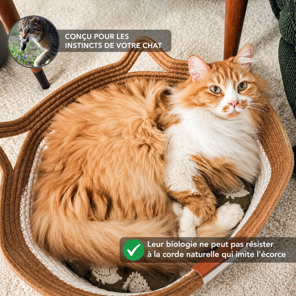 Panier-griffoir Instinct™ en corde naturelle