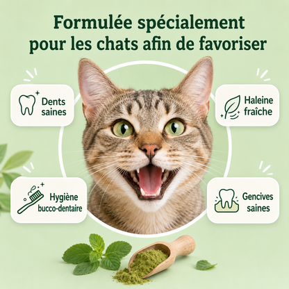 Poudre Dentaire Hygiène, Dents & Haleine