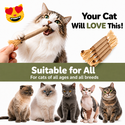 Silvervine Cat Dental Sticks