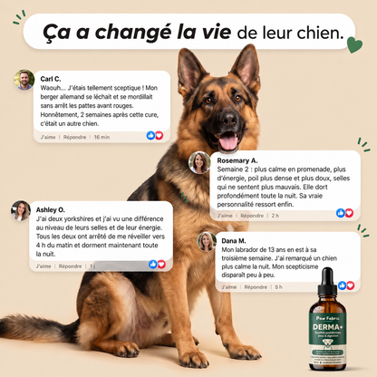 DERMA+ Gouttes quotidiennes peau & digestion