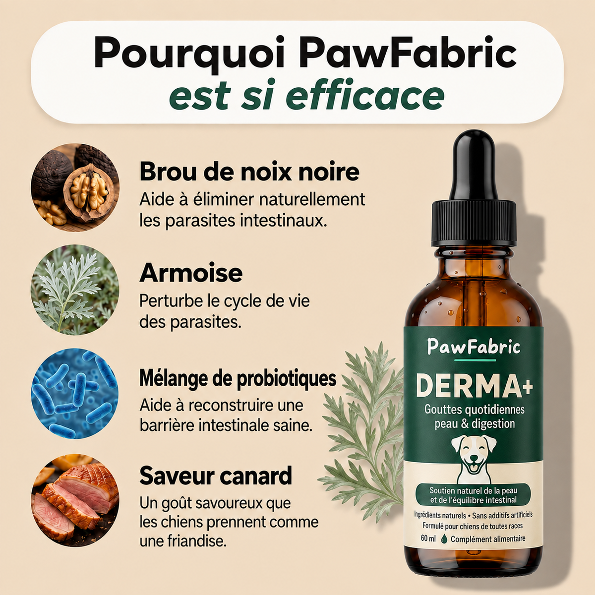 DERMA+ Gouttes quotidiennes peau & digestion