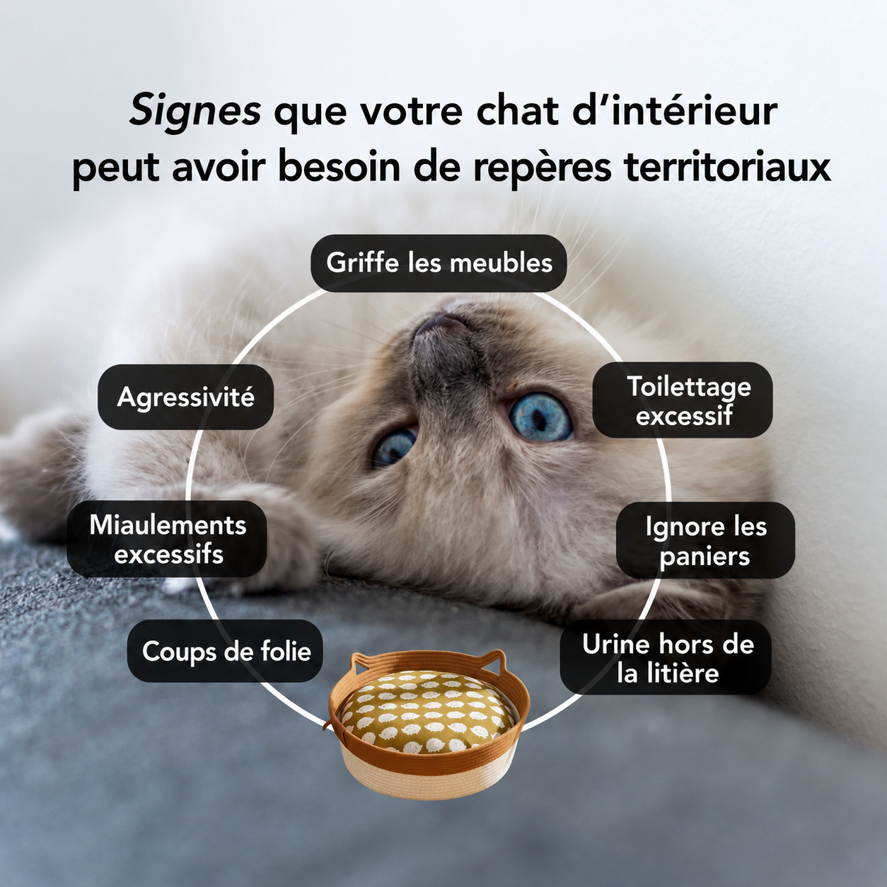 Panier-griffoir Instinct™ en corde naturelle