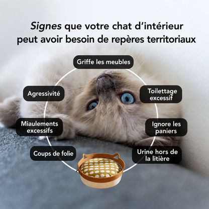 Panier-griffoir Instinct™ en corde naturelle