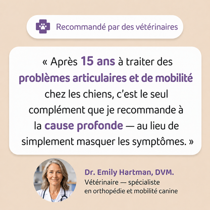 MOVE+ Gouttes quotidiennes articulations & mobilité