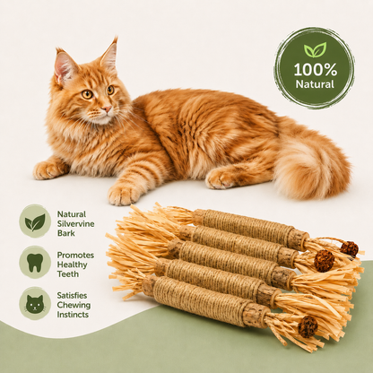 Silvervine Cat Dental Sticks