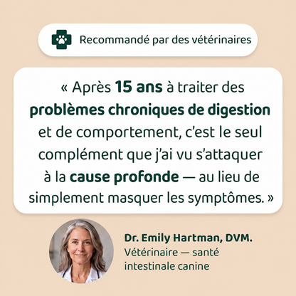 DERMA+ Gouttes quotidiennes peau & digestion