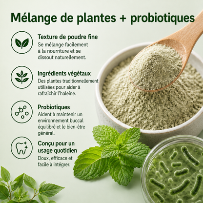 Poudre Dentaire Hygiène, Dents & Haleine