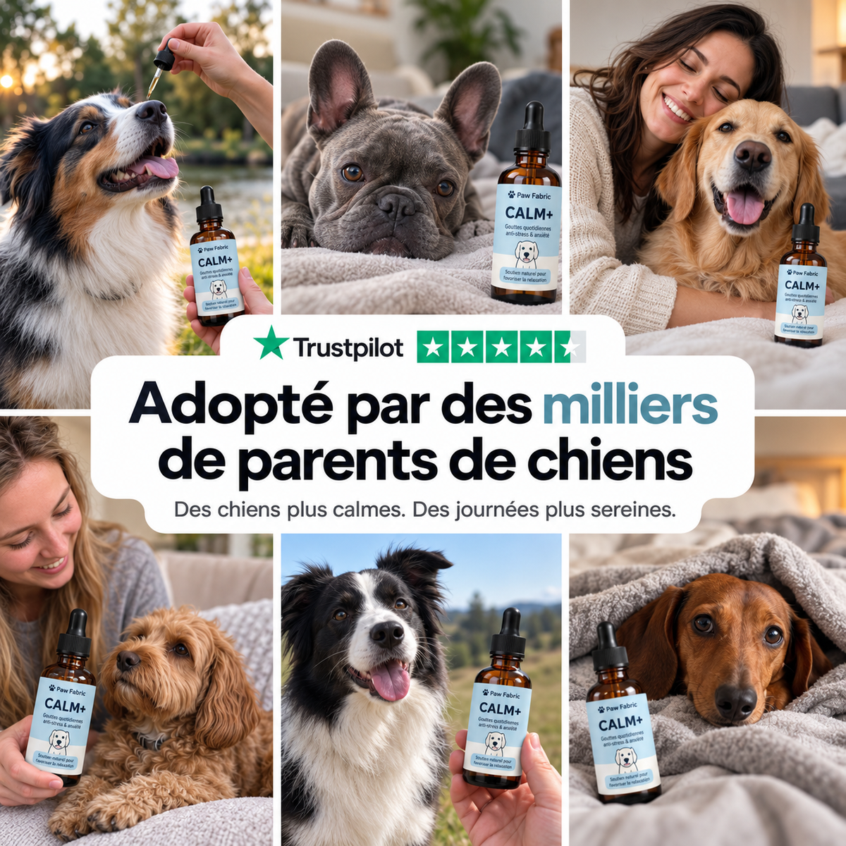 CALM+ Gouttes quotidiennes stress & anxiété