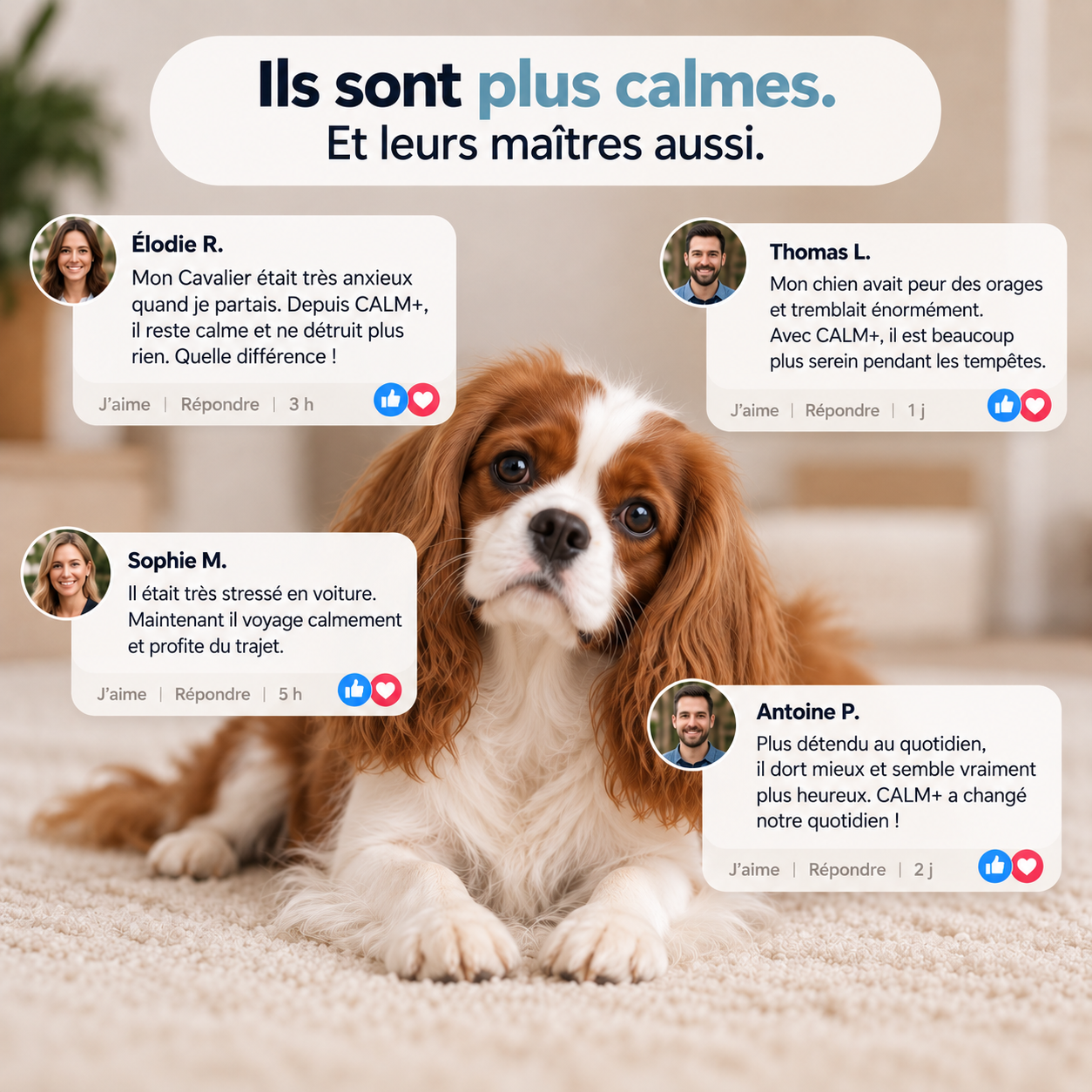 CALM+ Gouttes quotidiennes stress & anxiété