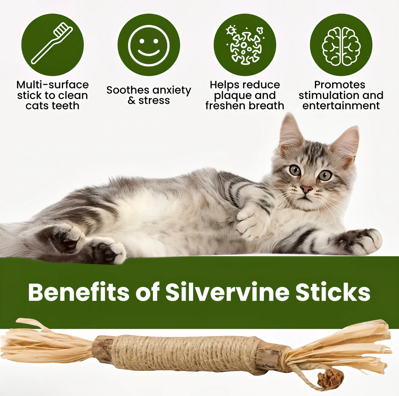 Silvervine Cat Dental Sticks