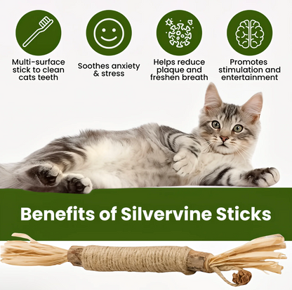 Silvervine Cat Dental Sticks