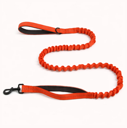 Elastic anti-pull leash