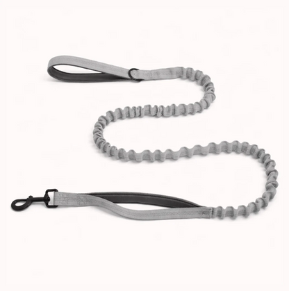 Elastic anti-pull leash