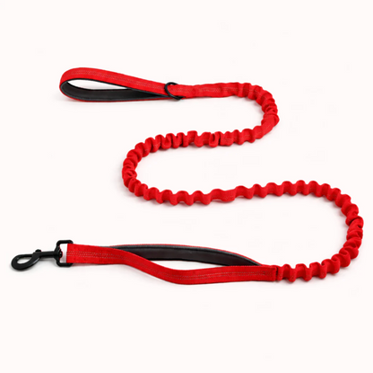 Elastic anti-pull leash