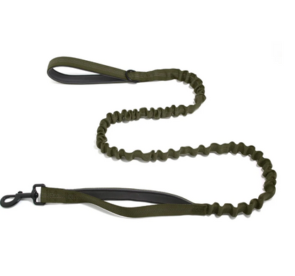 Elastic anti-pull leash