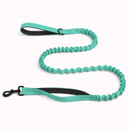 Elastic anti-pull leash