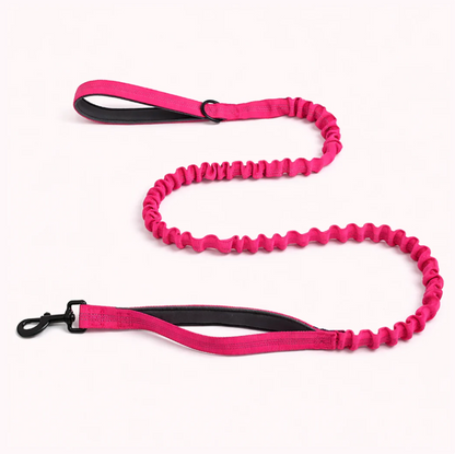 Elastic anti-pull leash