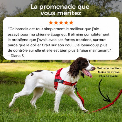 No-pull dog harness