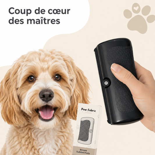 Brosse anti-poils pour chien Sublim'poils™