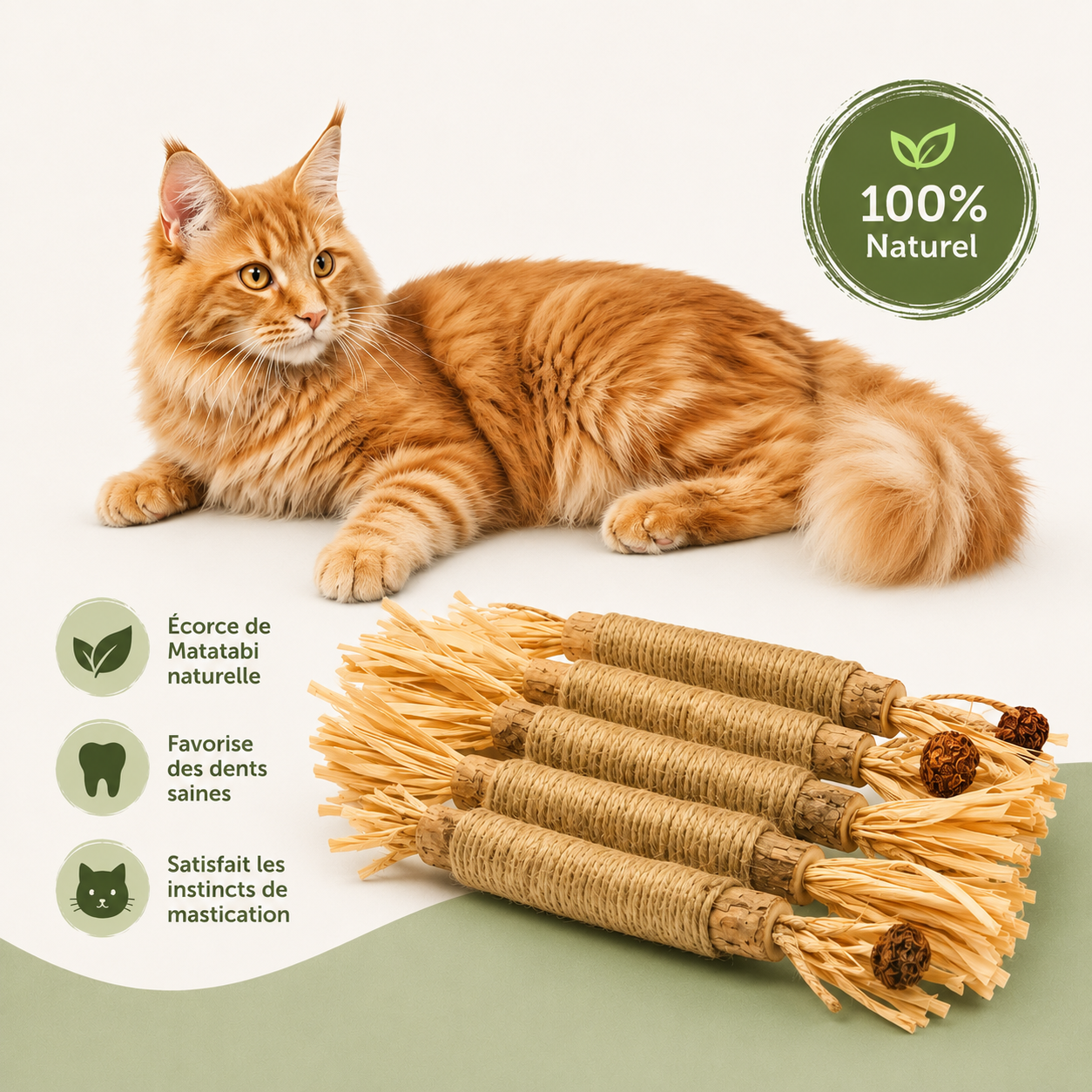 Matatabi Dental Sticks