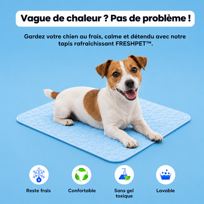 FRESHPET™ — Tapis rafraîchissant pour chiens