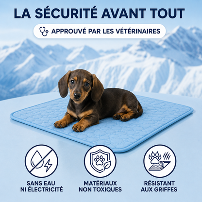 FRESHPET™ — Tapis rafraîchissant pour chiens