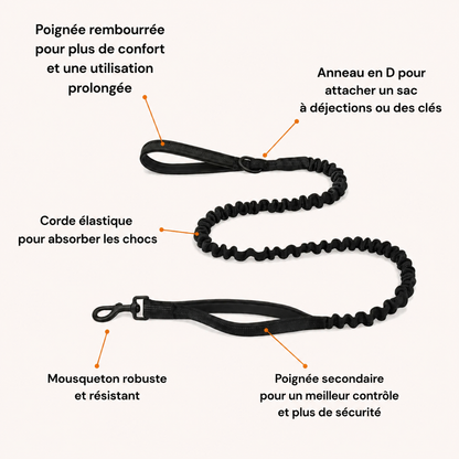 No-pull dog harness