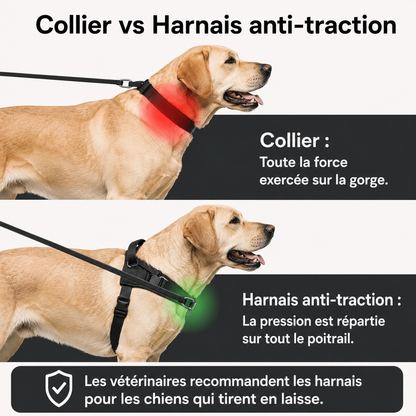 No-pull dog harness