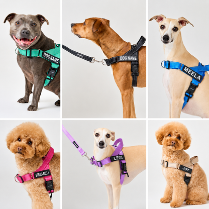 No-pull dog harness