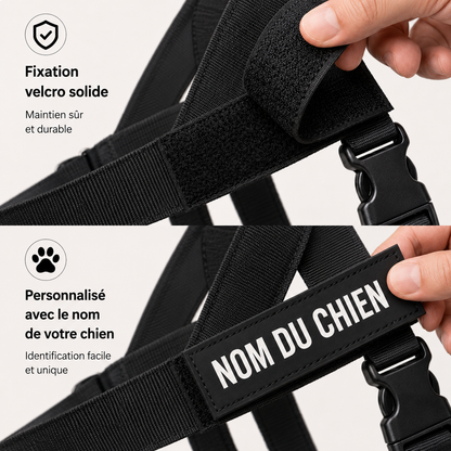 No-pull dog harness