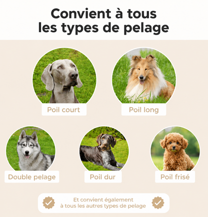 Brosse anti-poils pour chien Sublim'poils™