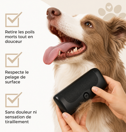 Brosse anti-poils pour chien Sublim'poils™