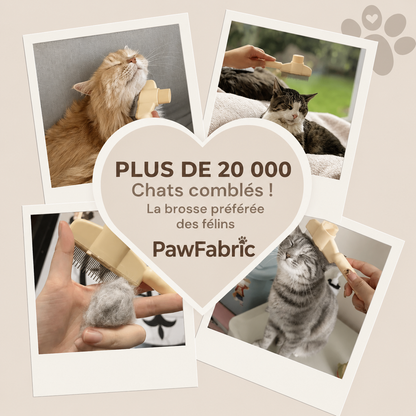 Brosse Attrape'poils™ pour chats