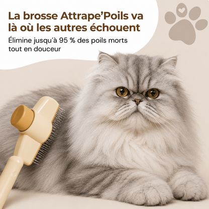 Brosse Attrape'poils™ pour chats