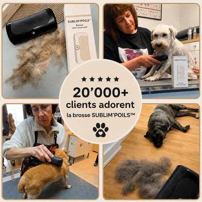 Brosse anti-poils pour chien Sublim'poils™