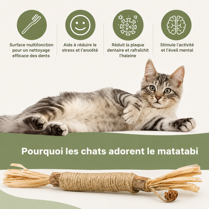 Matatabi Dental Sticks