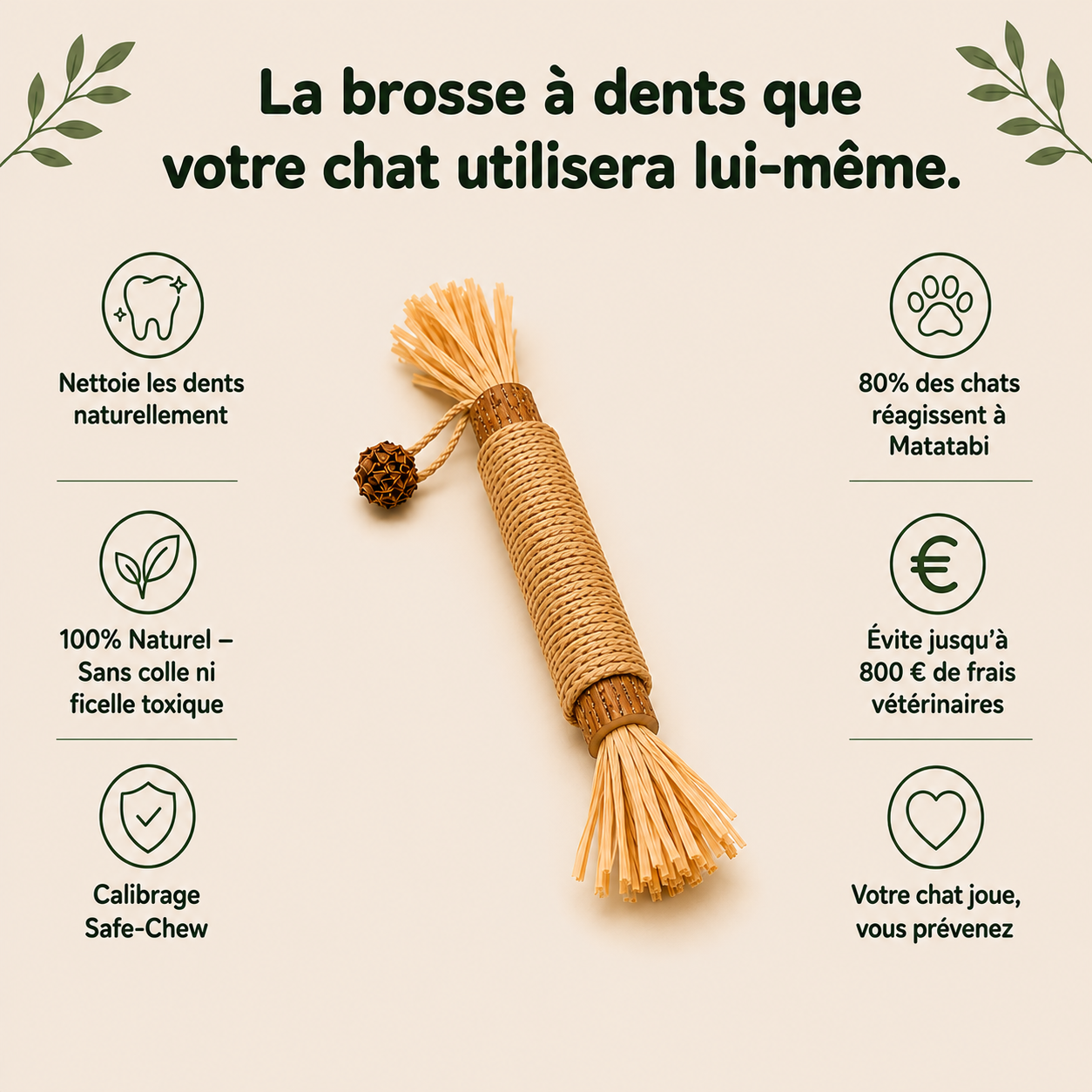 Matatabi Dental Sticks