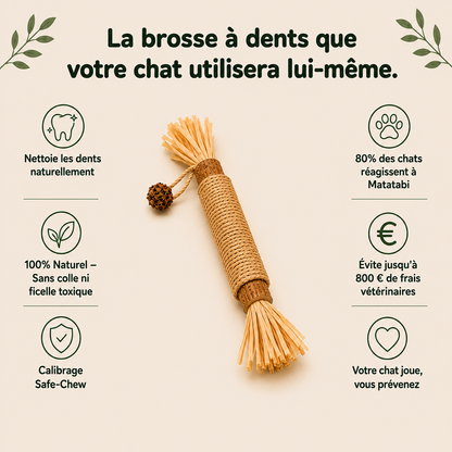 Matatabi Dental Sticks