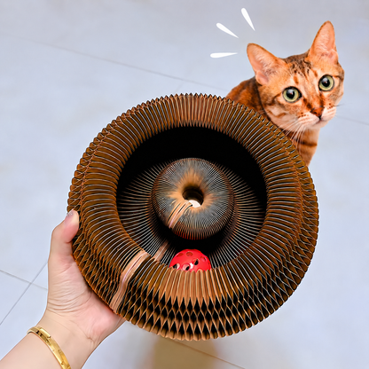 MiaouLoop™ | Griffoir interactif pour chats