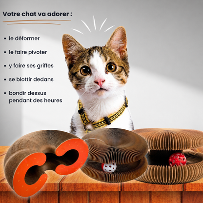 MiaouLoop™ | Griffoir interactif pour chats
