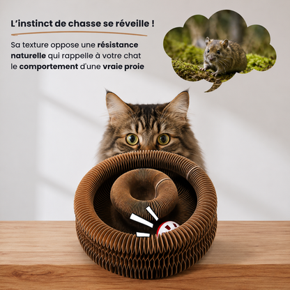 MiaouLoop™ | Griffoir interactif pour chats