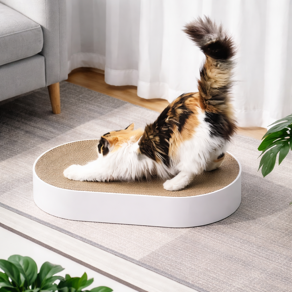 Griffoir Zen Cat
