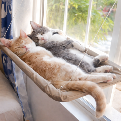 Hamac de fenêtre pour chat