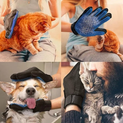 Gant Brosse pour Chat – Toilettage Doux