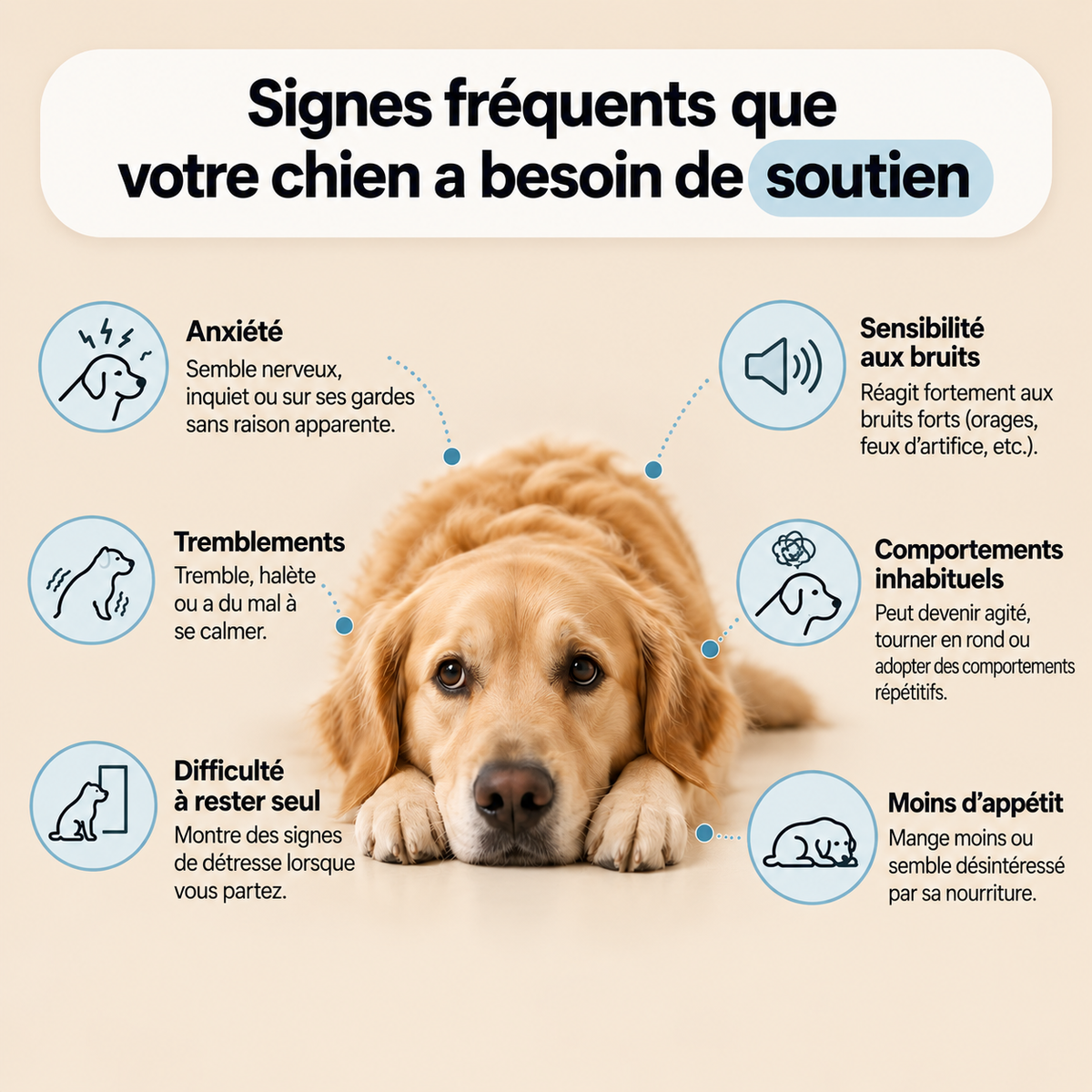 CALM+ Gouttes quotidiennes stress & anxiété