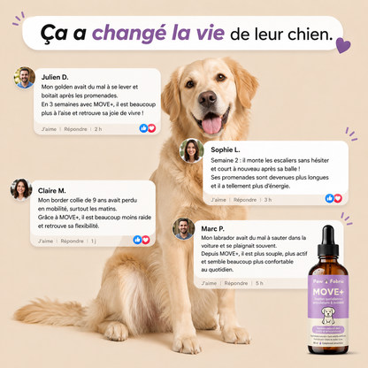 MOVE+ Gouttes quotidiennes articulations & mobilité