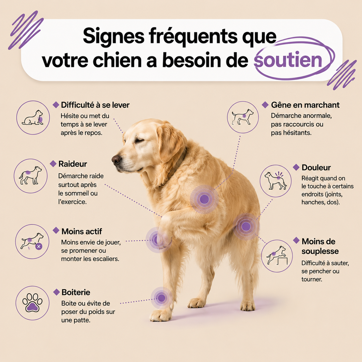 MOVE+ Gouttes quotidiennes articulations & mobilité