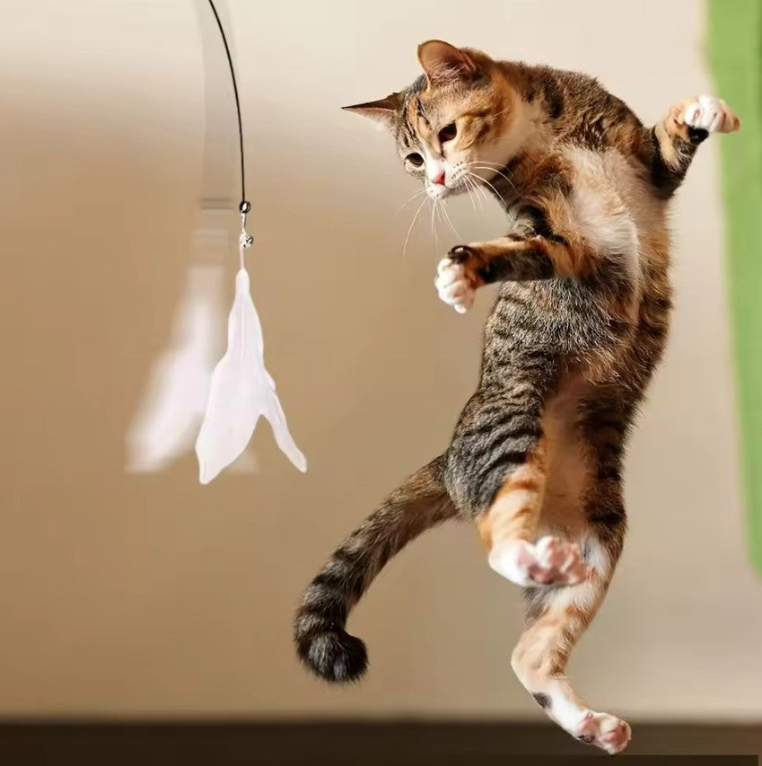 Canne à Pêche pour Chat avec Plumes et Clochette