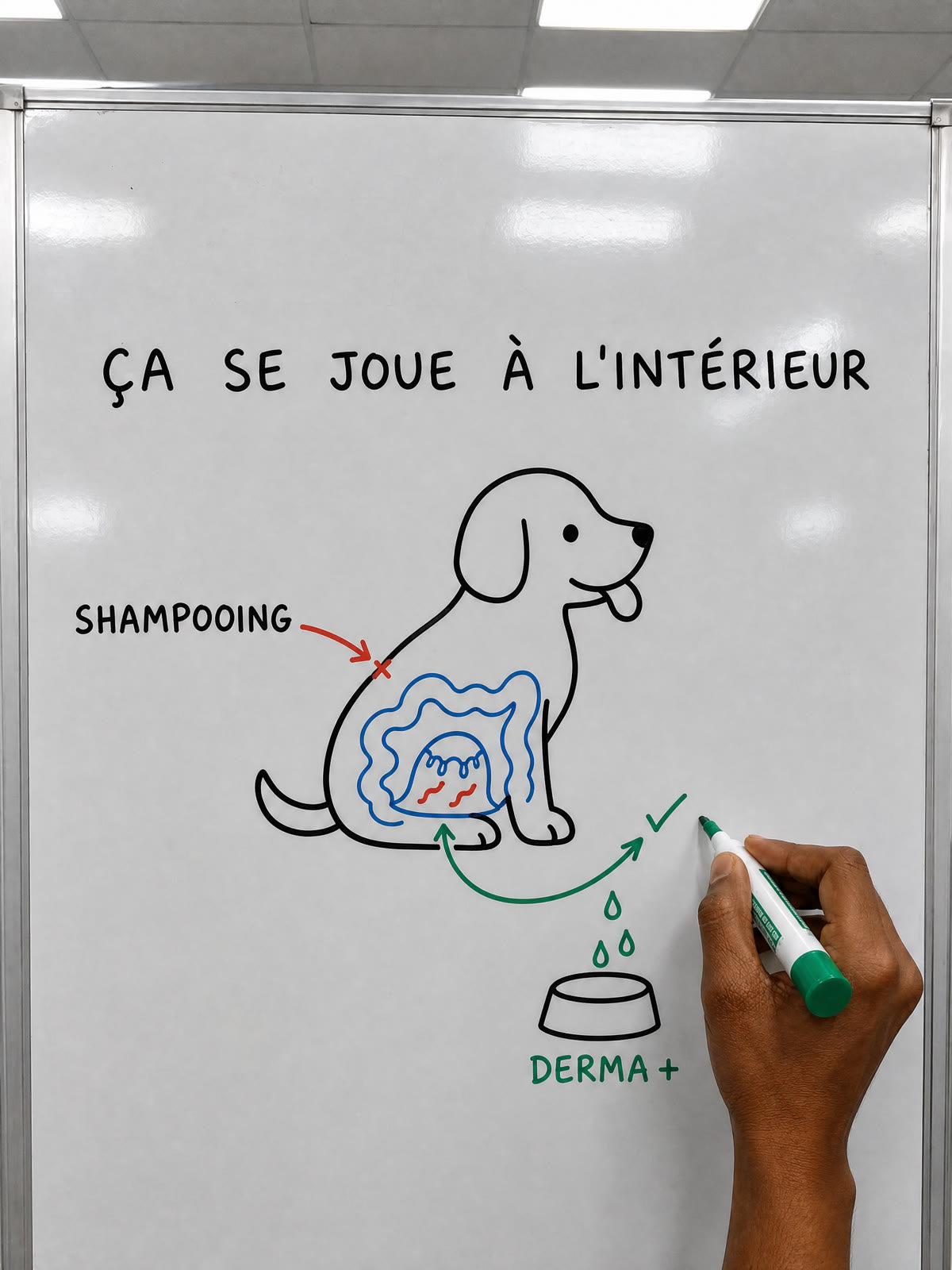 ld-04-mecanisme-tableau-blanc.jpg