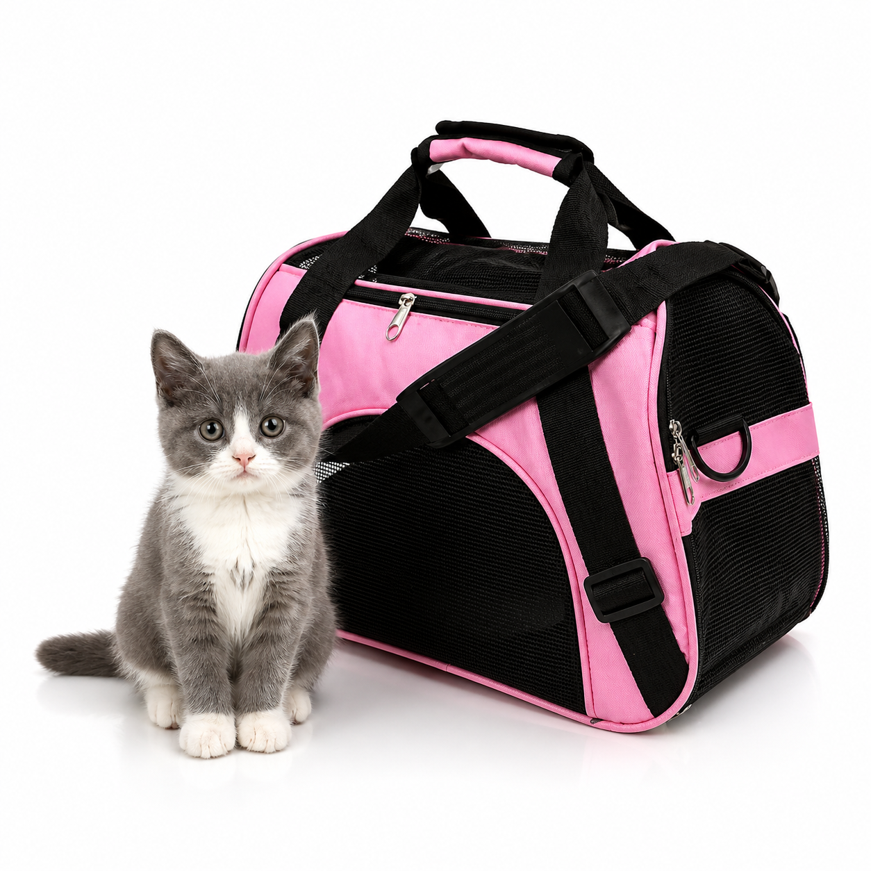 Sac de Transport Pliable pour Chat – Maille Respirante